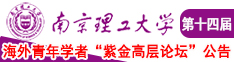 尻b网站免费南京理工大学第十四届海外青年学者紫金论坛诚邀海内外英才！